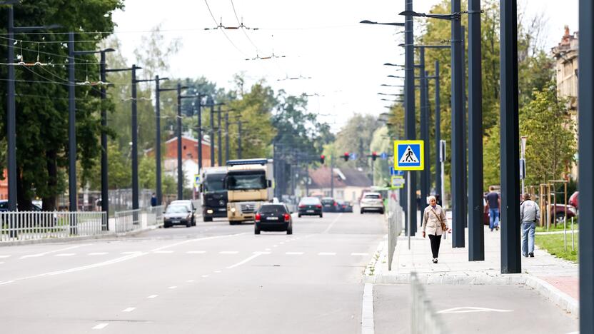 Skirtis: viena A. Juozapavičiaus prospekto pusė, kur regeneruotame buvusių kareivinių rajone įsikūrė labiau pasiturintys gyventojai, balsavo už konservatorius, kita – už „Nemuno aušrą“.