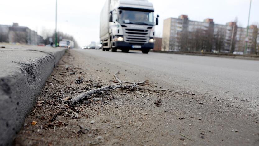 per žiemą kelkraščiuose susikaupė daug dulkių.