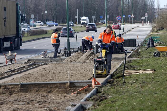 Ant šaligatvio nebeliks pelkės