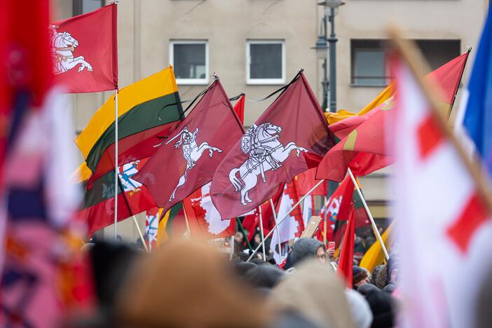 Protestas prie Seimo Sausio 13-ąją