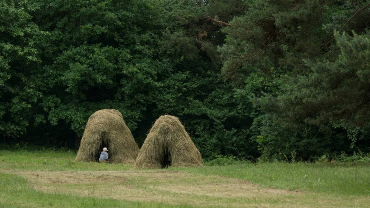 Joninės Rumšiškėse