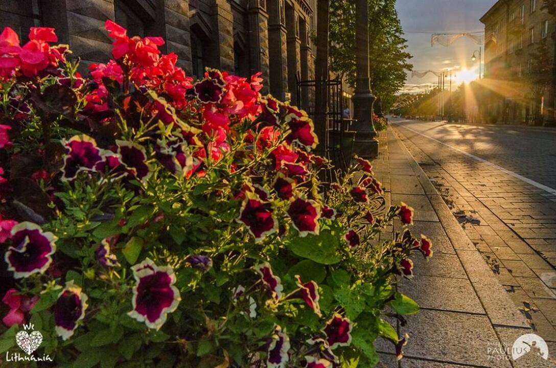 Keletas nuotraukų iš "We love Lithuania"