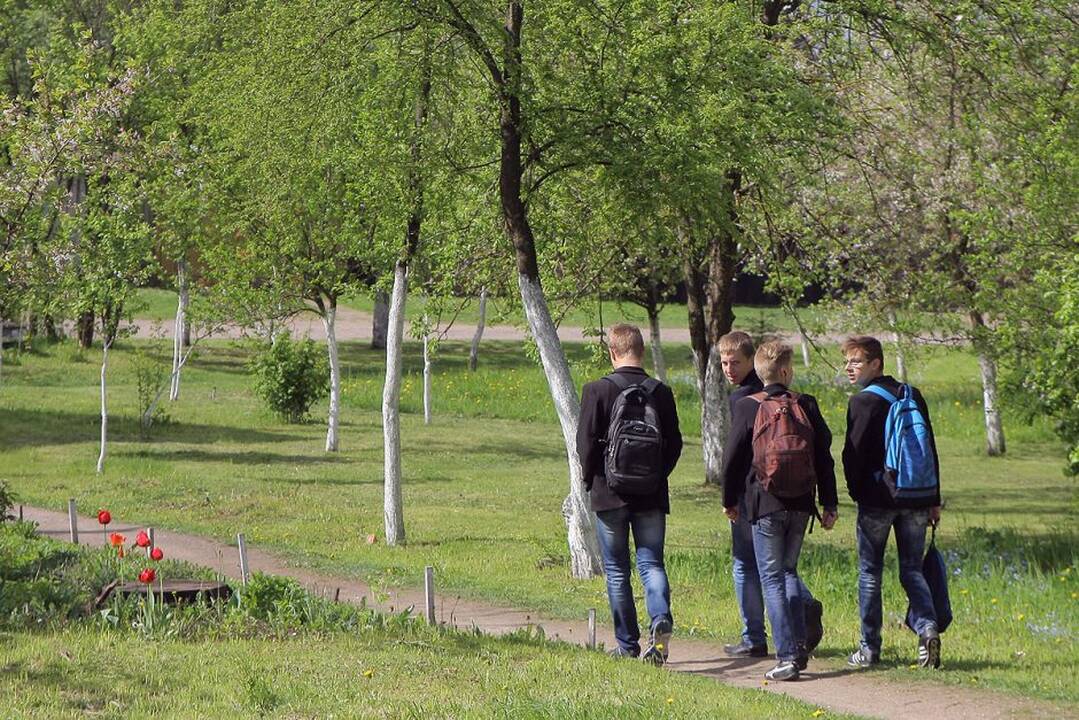 Žvilgsnis į Vilkiją