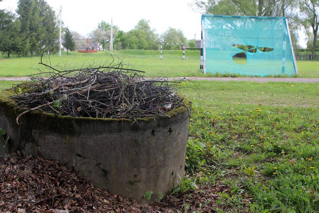 Žvilgsnis į Vilkiją