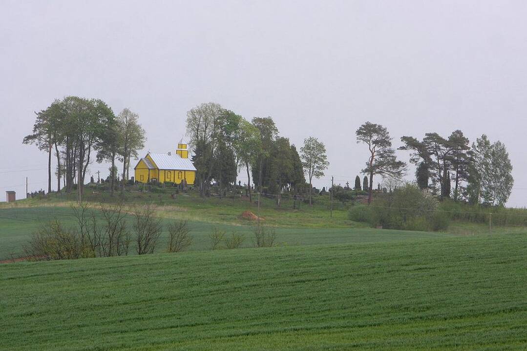 Žvilgsnis į Vilkiją