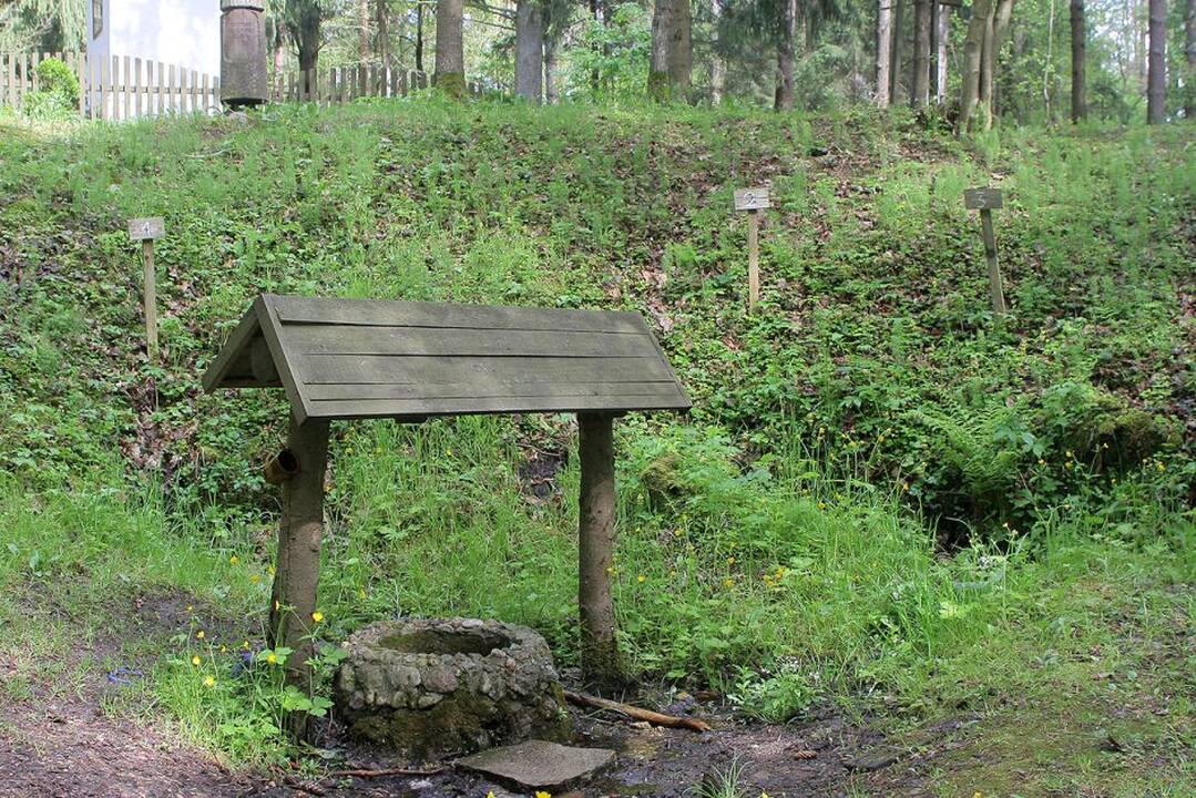 Žvilgsnis į Vilkiją