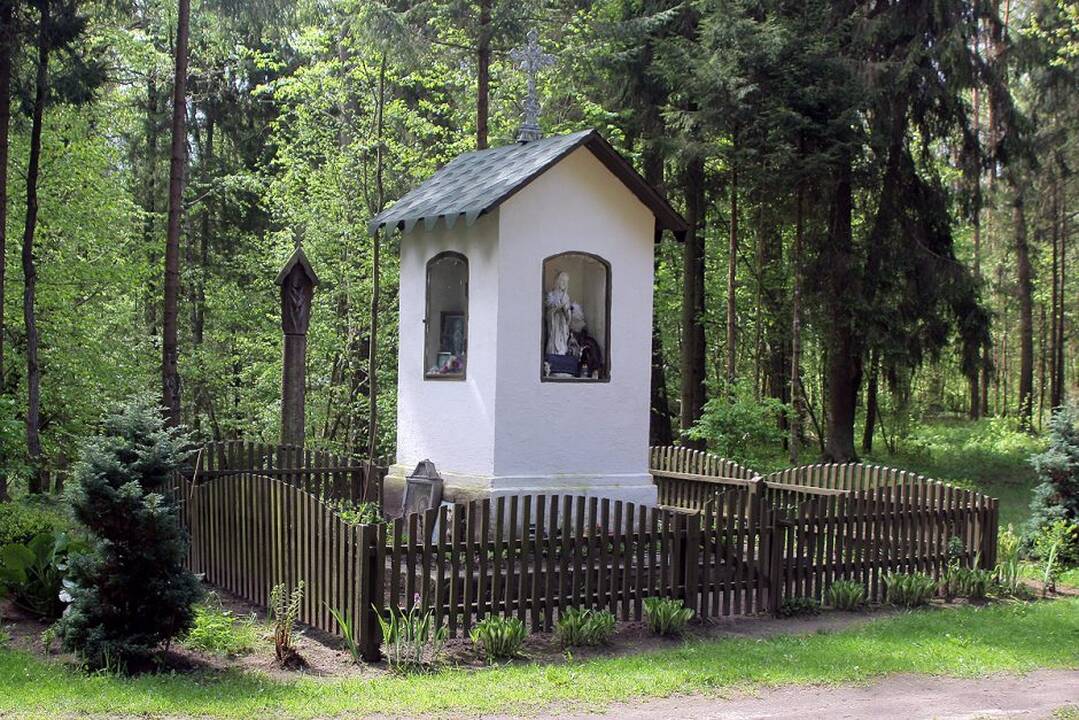 Žvilgsnis į Vilkiją