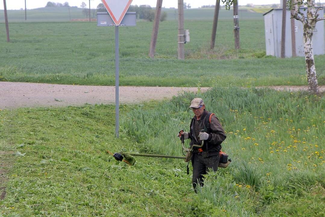 Žvilgsnis į Vilkiją