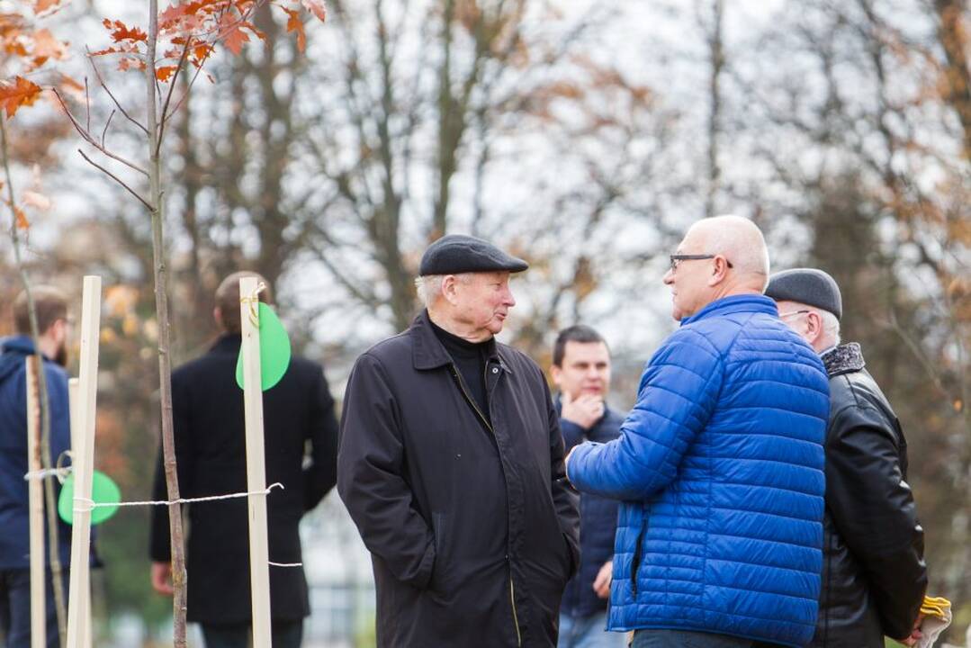 Šventės akimirka