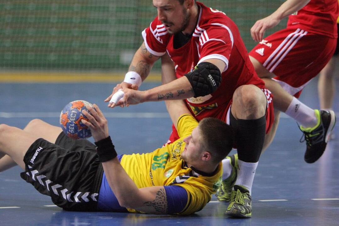 Europos vyrų rankinio čempionato atrankos rungtynėse lietuviai sužaidė lygiosiomis su slovakais.