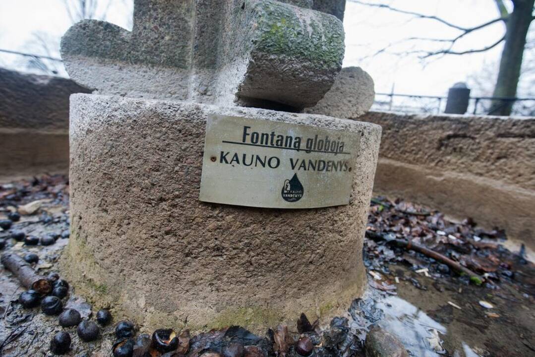 Kauko laiptai