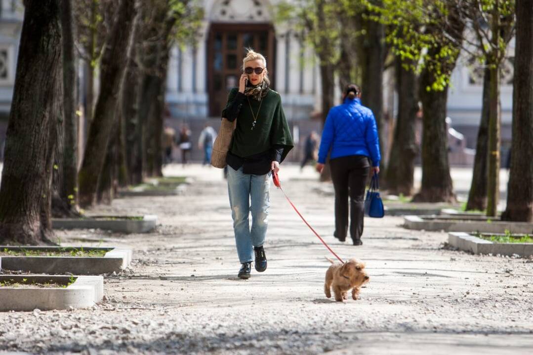 Miestiečiai