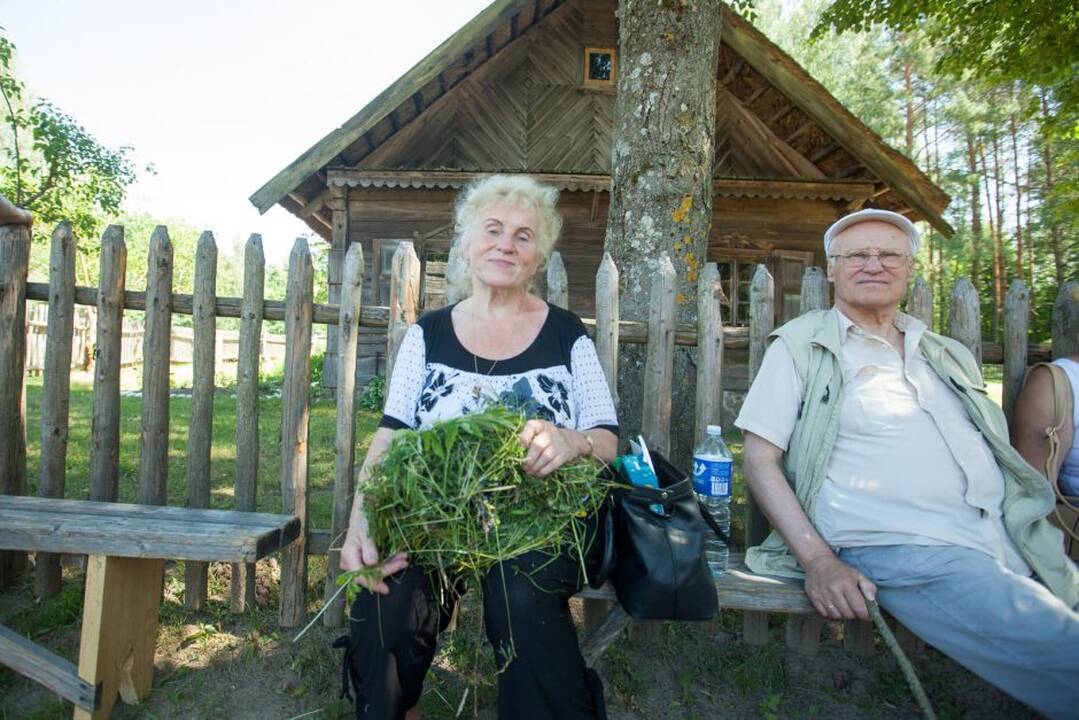 Joninės Rumšiškėse