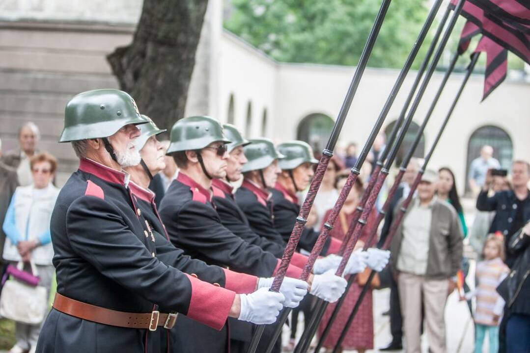 Valstybės dienos minėjimas prie Karo muziejaus