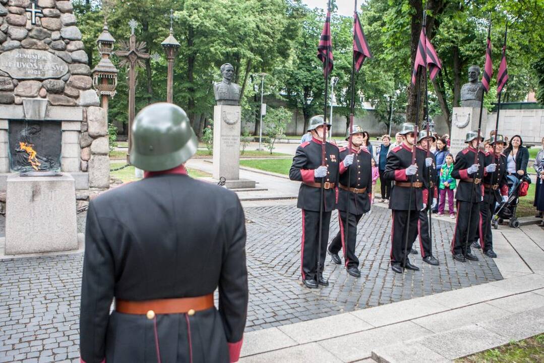 Valstybės dienos minėjimas prie Karo muziejaus