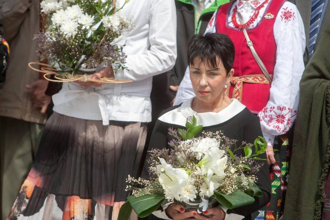 Valstybės dienos minėjimas prie Karo muziejaus