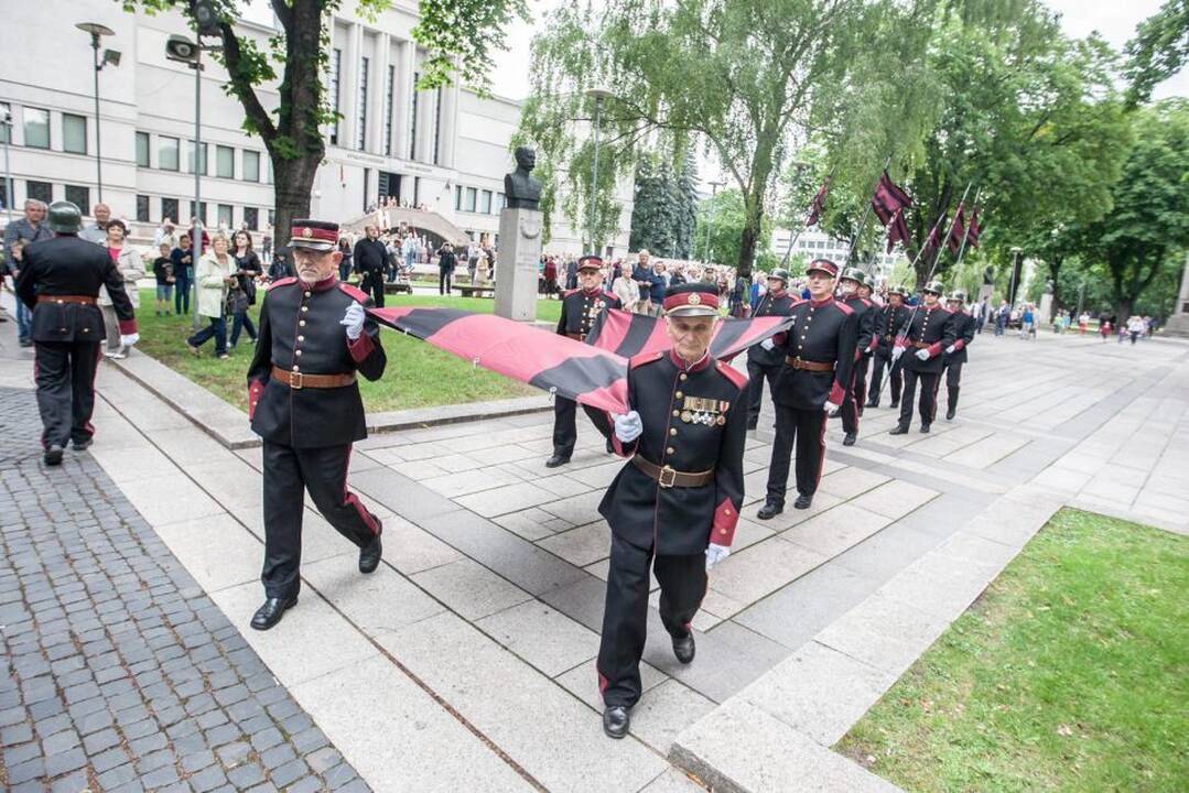 Valstybės dienos minėjimas prie Karo muziejaus