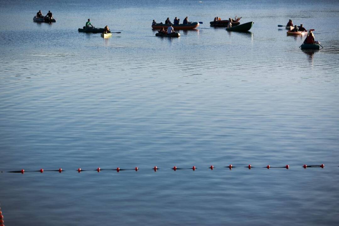 Koncertas