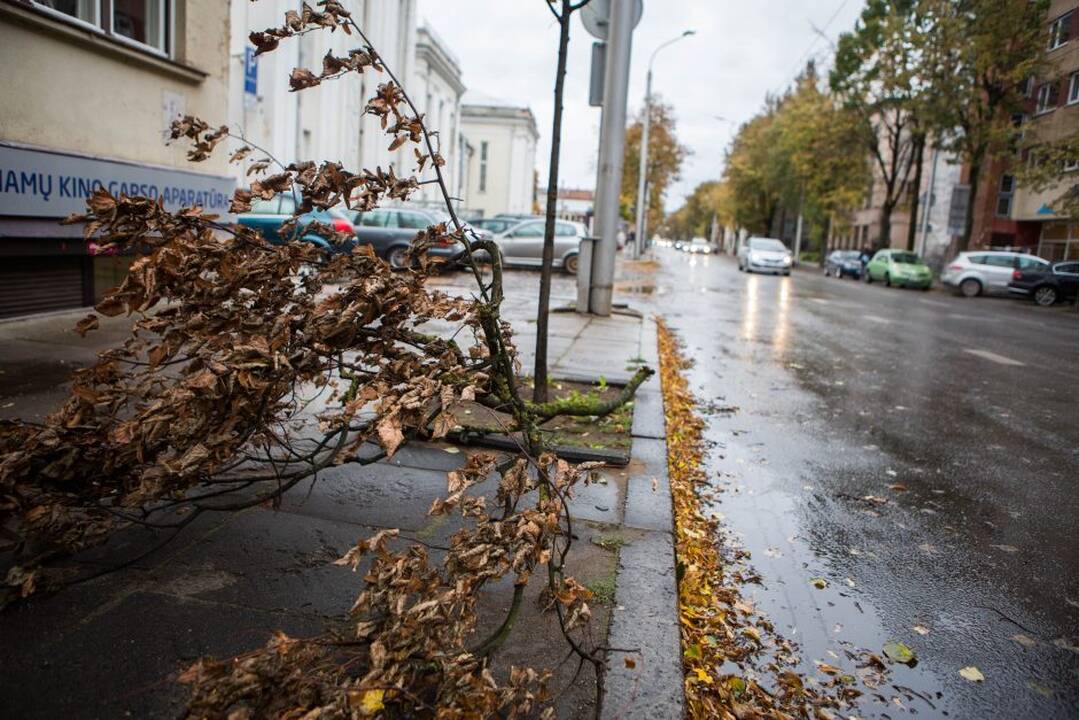 Vėtros padariniai