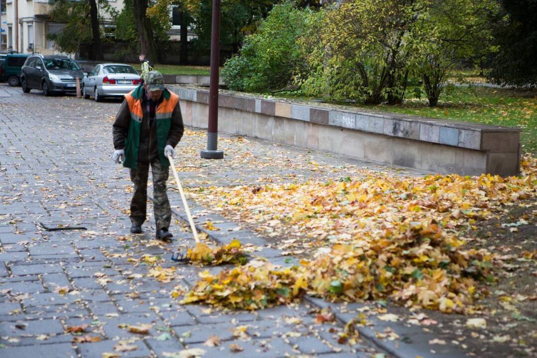 Vėtros padariniai