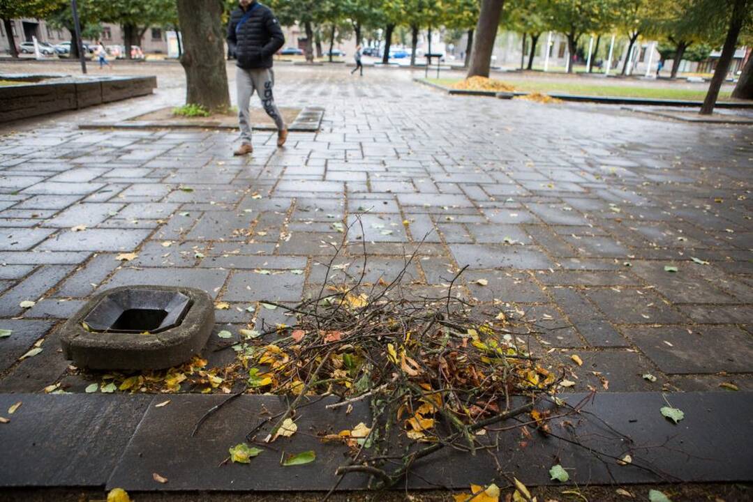 Vėtros padariniai