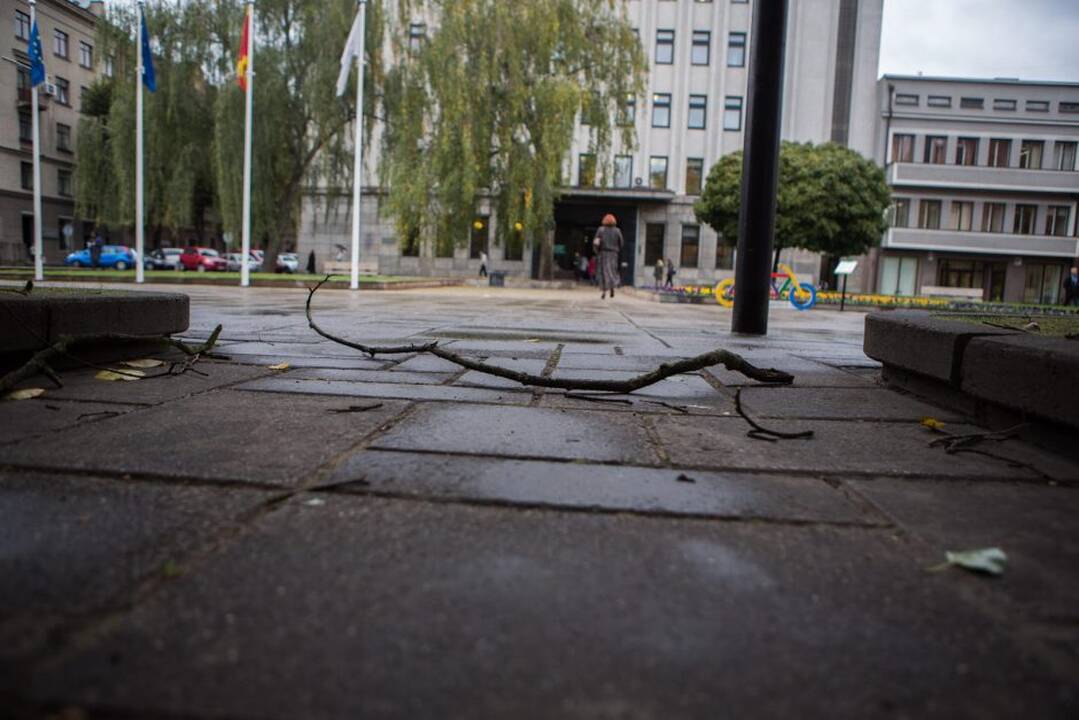 Vėtros padariniai