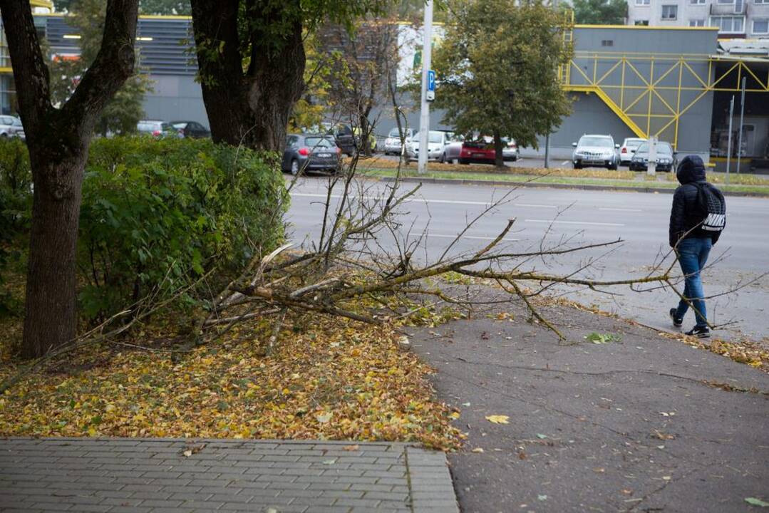 Vėtros padariniai