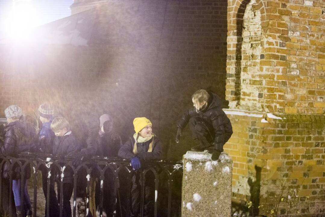 Paveikslas