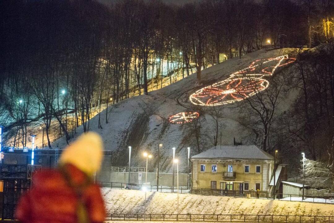 Paveikslas