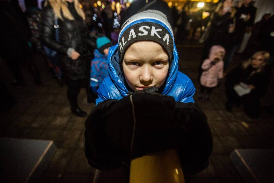 Interaktyvios projekcijos atidarymas