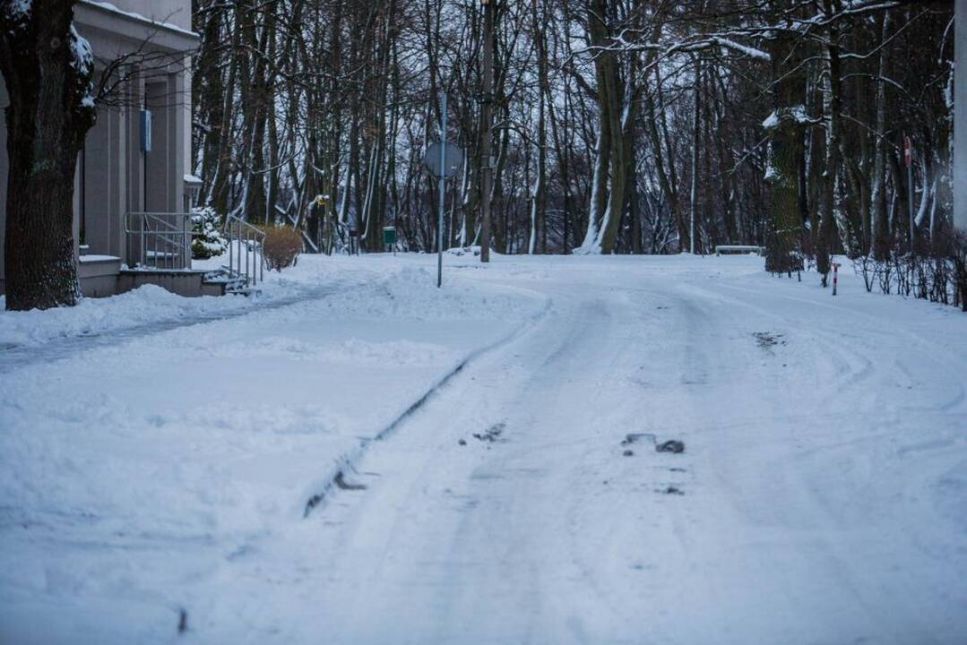 Kauno gatvės