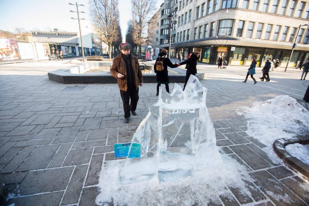 Suniokota skulptūra