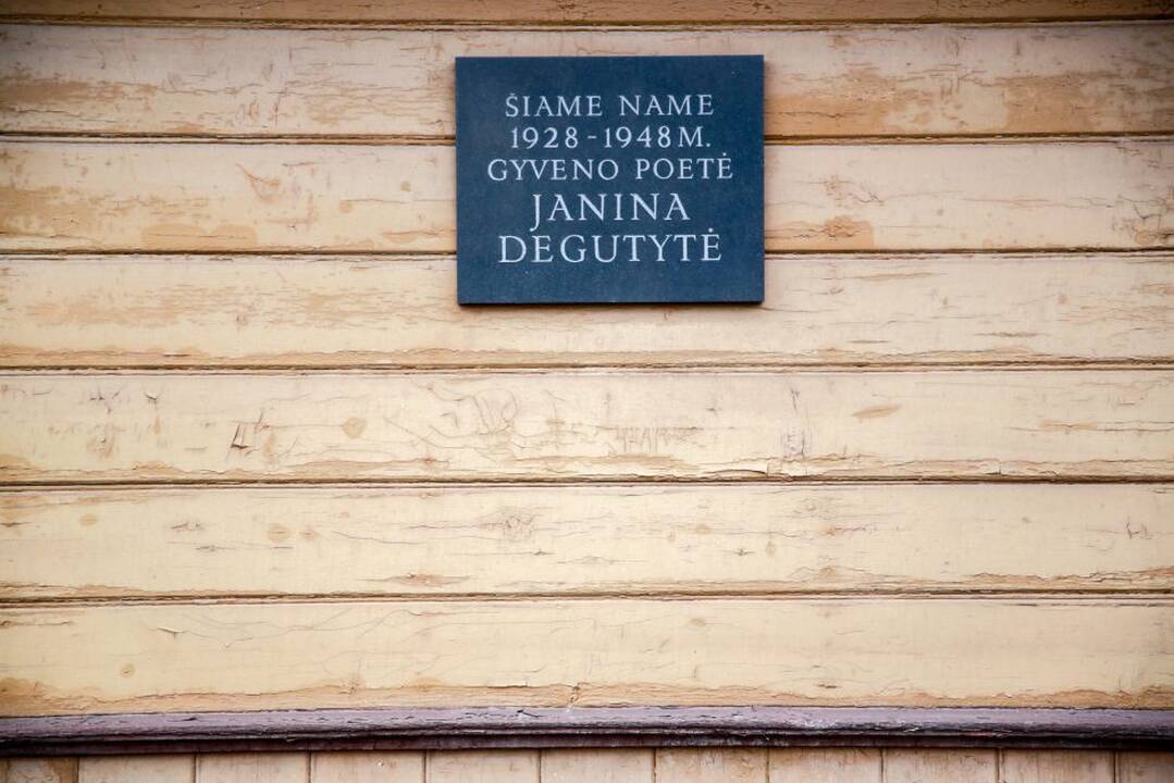 Ekskursija po Šančius