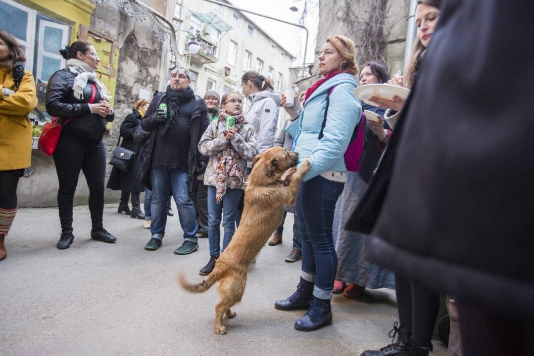 Kiemo galerijoje - degantys paveikslai