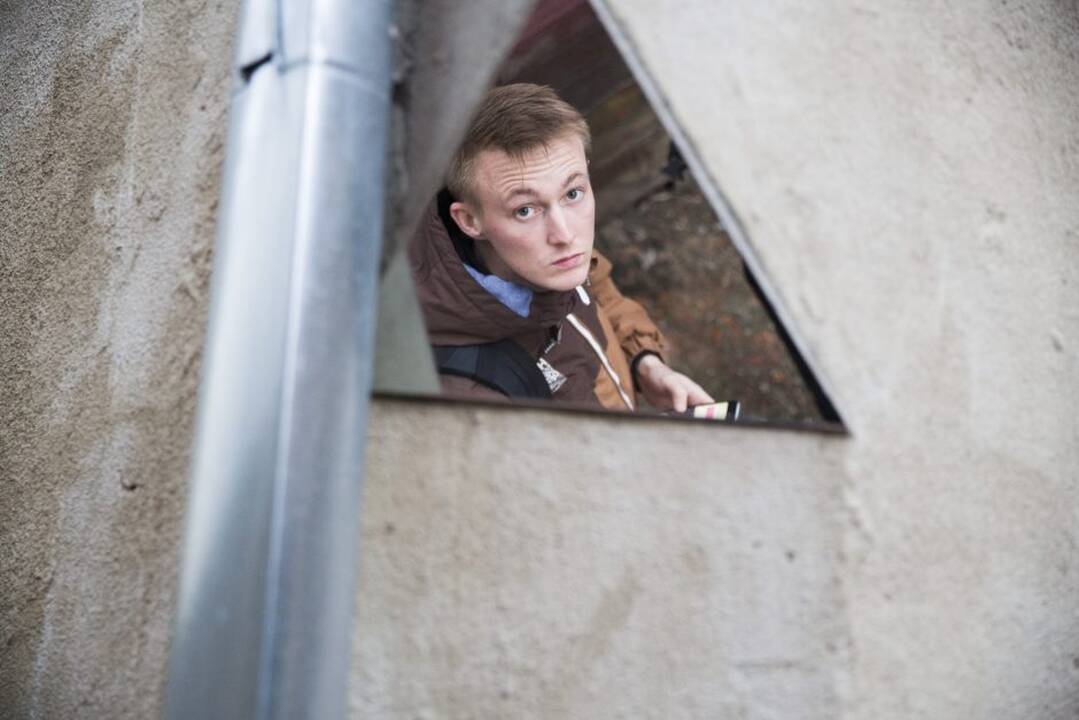 Kiemo galerijoje - degantys paveikslai