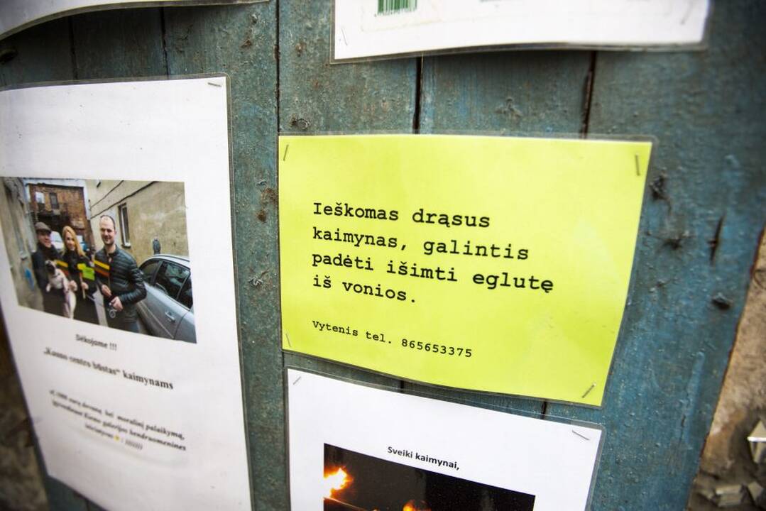 Kiemo galerijoje - degantys paveikslai