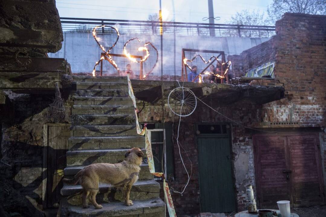 Kiemo galerijoje - degantys paveikslai