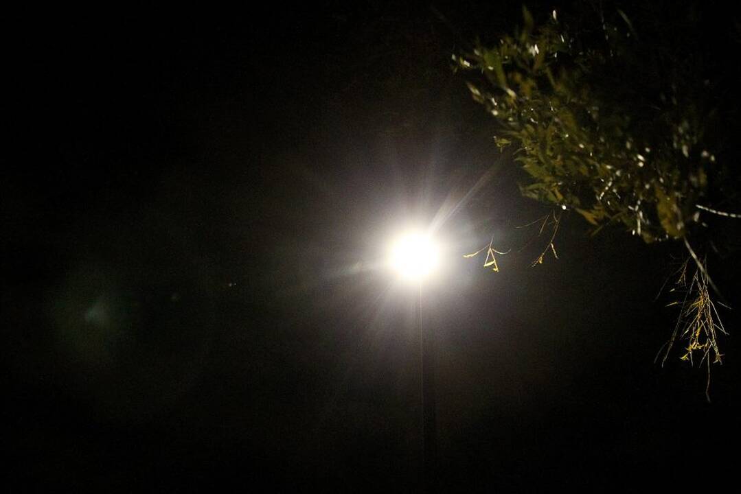 Kalniečių parke – naujas LED apšvietimas