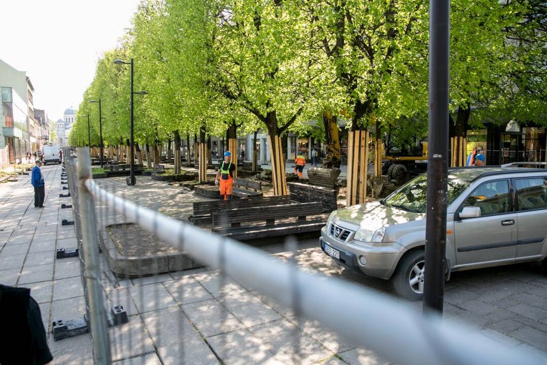 Rekonstrukcijai užtverta Laisvės alėja