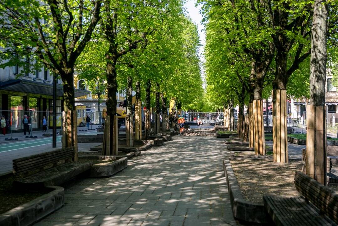 Rekonstrukcijai užtverta Laisvės alėja