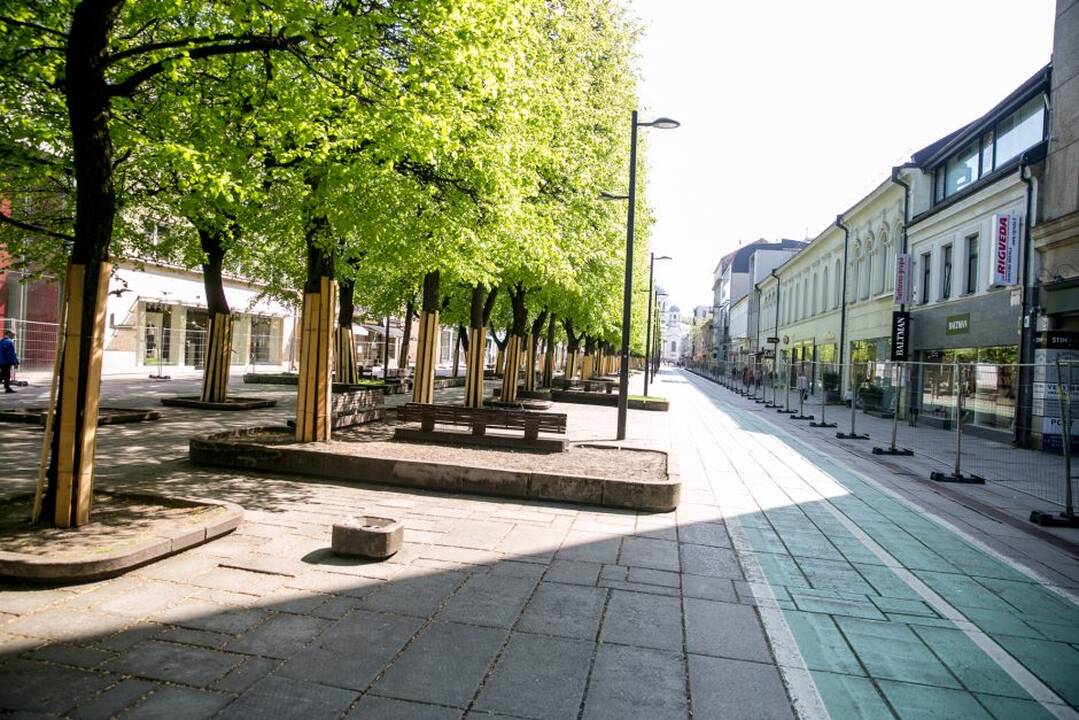 Rekonstrukcijai užtverta Laisvės alėja