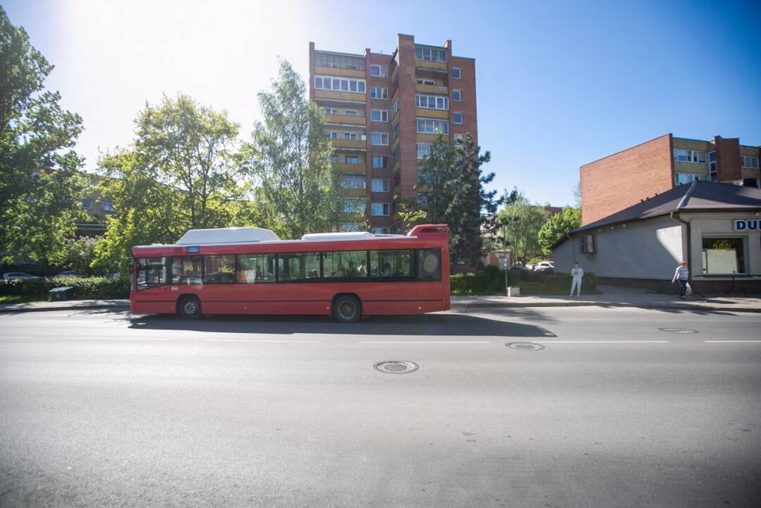 Dingo Taikos stotelės stoginė?