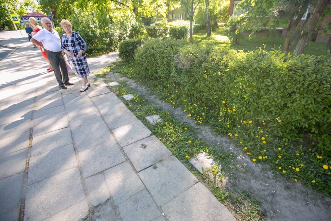 Dingo Taikos stotelės stoginė?
