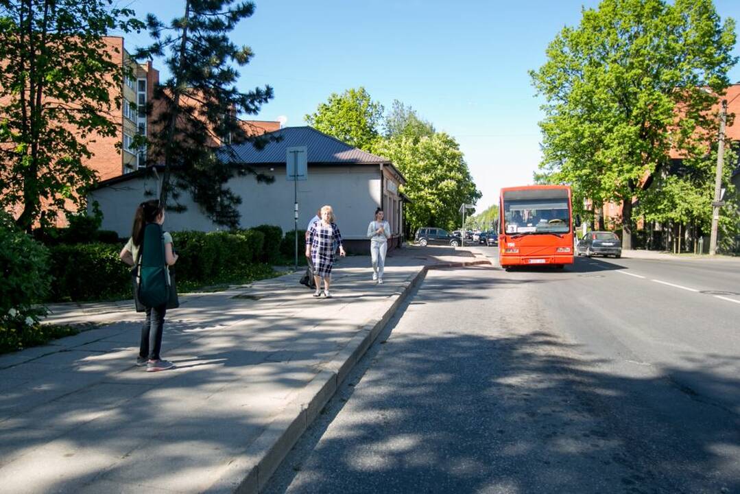 Dingo Taikos stotelės stoginė?