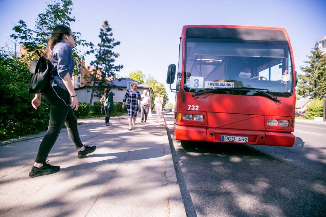 Dingo Taikos stotelės stoginė?