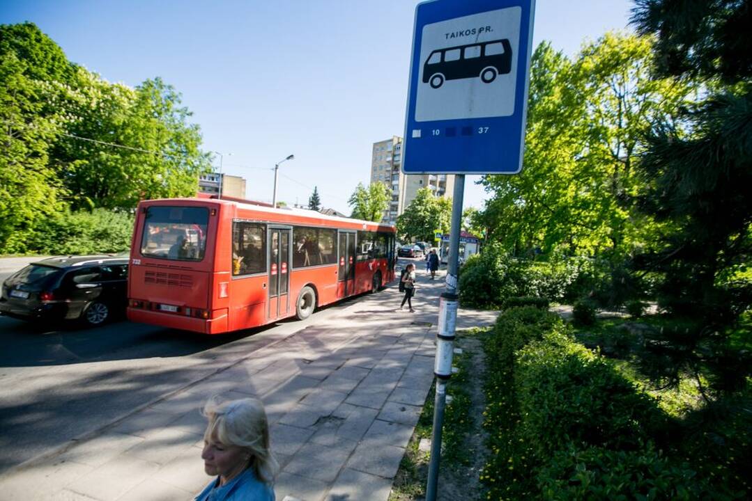 Dingo Taikos stotelės stoginė?