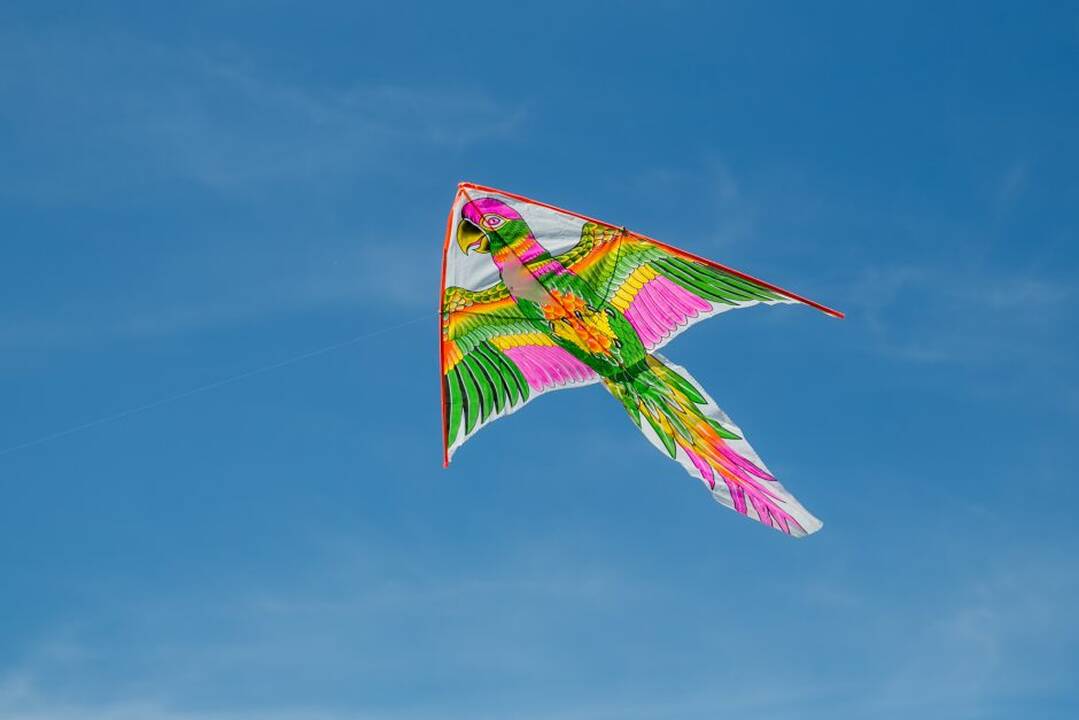 Aitvarų festivalis „Tarp žemės ir dangaus“