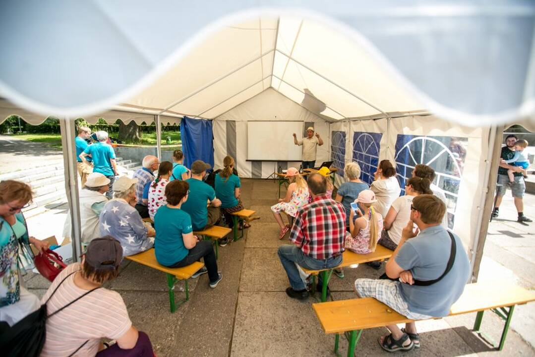 Gamtos paslaptys Kauno ąžuolyne