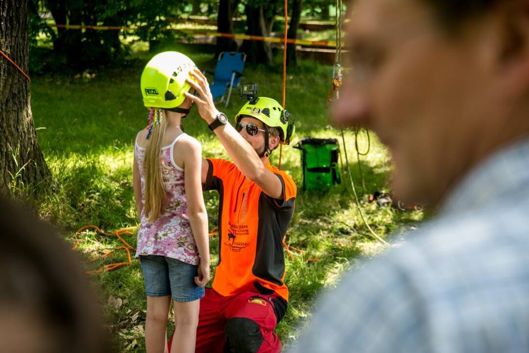 Gamtos paslaptys Kauno ąžuolyne