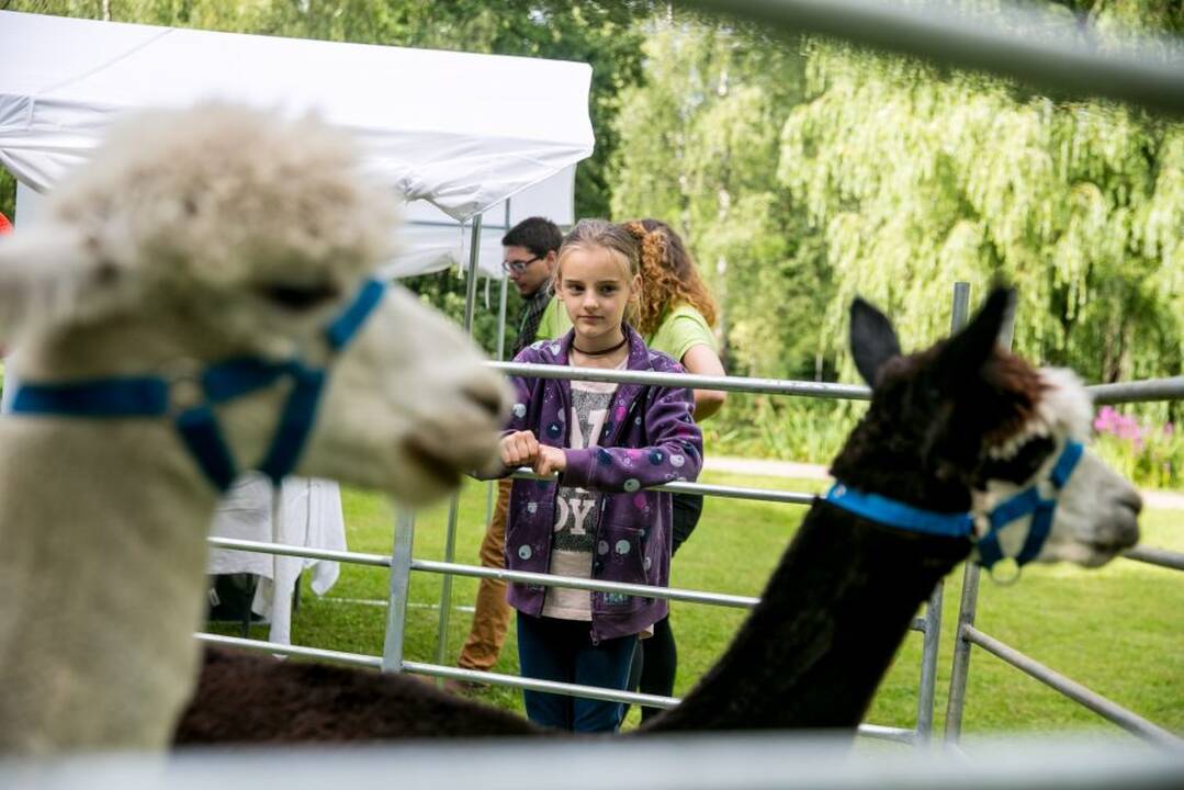 Kvapų naktis 2018